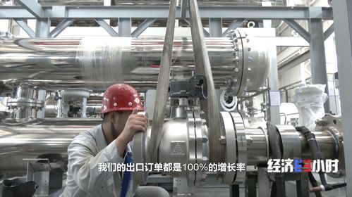 爆发式增长 国产氢能产品“火”到国外，售价仅为欧洲同类一半